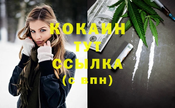 соль ск Алексеевка