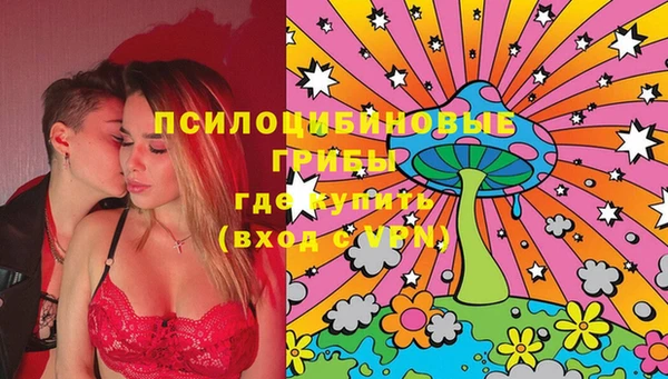 соль ск Алексеевка