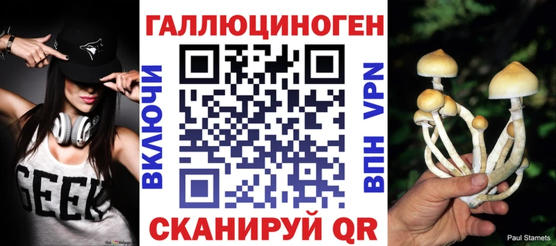 Галлюциногенные грибы Psilocybe Осташков